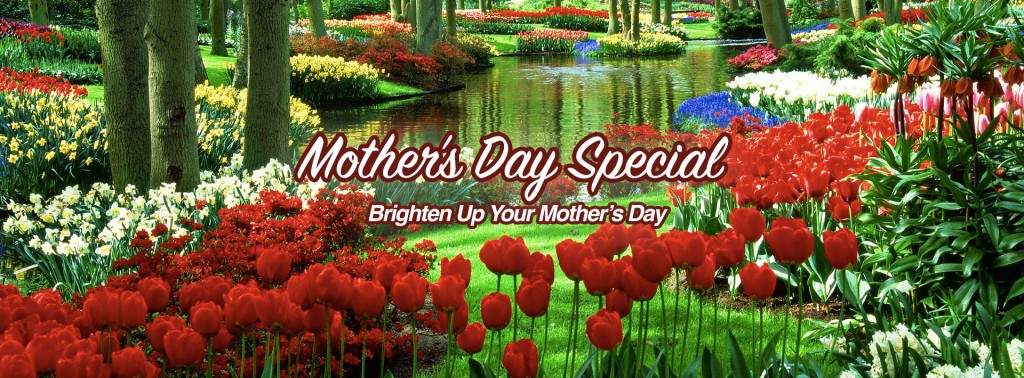 mothers2